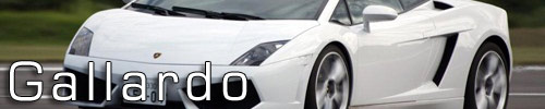 Lamborghini Gallardo driving experiences logo